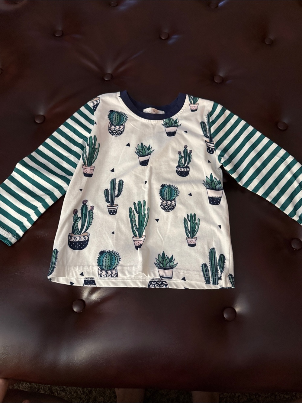 Kids Green Cactus Print Long Sleeve Tee - Striped Sleeves